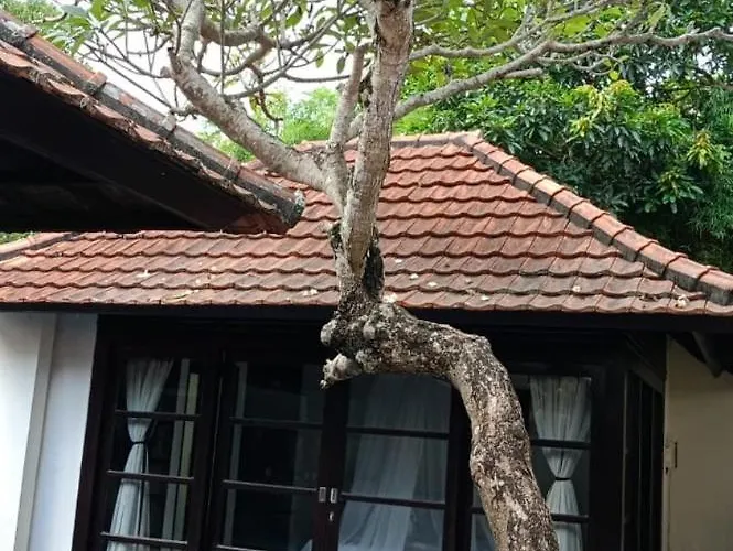 Kubu Pratiwi - 2 * Canggu (Bali)